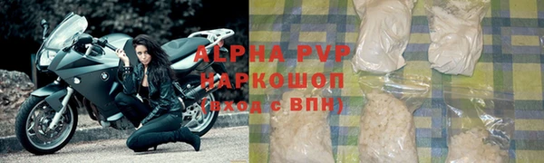 стафф Алексин