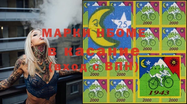 стафф Алексин