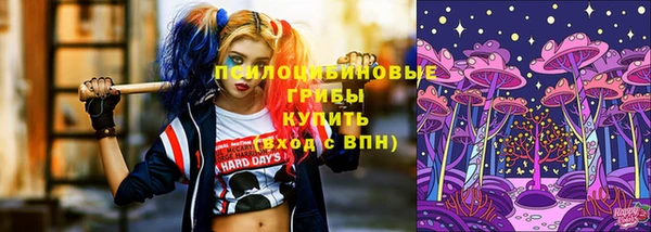 ECSTASY Алзамай