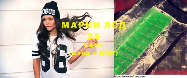 ECSTASY Алзамай