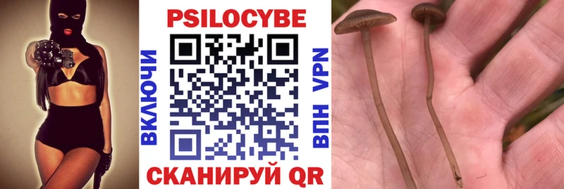 Псилоцибиновые грибы прущие грибы  продажа наркотиков  Бабаево 